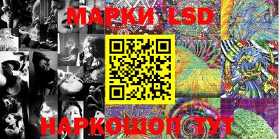 гидропоника Кингисепп