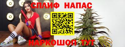 мдпв Кимры