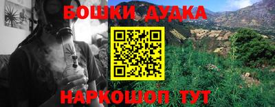 гидропоника Кингисепп