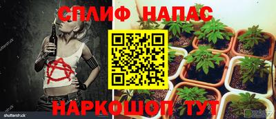 МДПВ Кинель