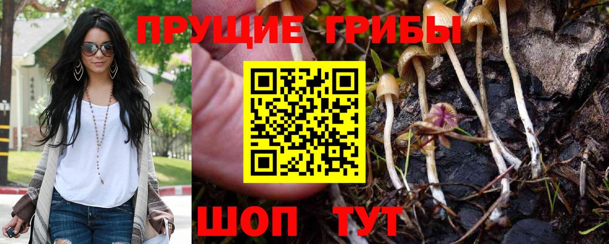 Псилоцибиновые грибы мухоморы Костомукша